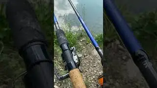 Красота в деталях. Катушка и фидера Daiwa NZone 