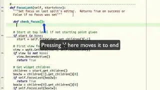 Auto-correction in Wing IDE 5
