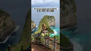 No hike and only $1.69 for this view?? 🤯 Kelingking Beach, Nusa Penida, Indonesia #travelcreator