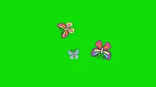 Butterfly Green screen Animation