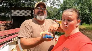 You're Going To Do What? (How To Castrate A Bull Calf For Beginners)