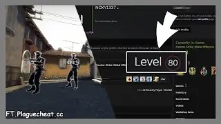 MI-A DAT UN CONT DE STEAM CU LEVEL 80 PE GRATIS ! - CS:GO Wingman Hacking w/Noxy1337