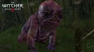 The Witcher 3 - Kill Botchling With Igni Sign