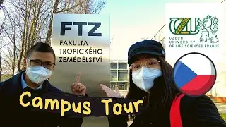 ada KEBUN BINATANG di KAMPUS | Campus Tour | Jalan Bareng Arnold Yola Ep. 3 | CZU Prague Erasmus