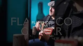 Flamenco Guitar #gipsy #guitar #flamencoguitar #godinguitars #musica #flamenco #flamenca #music
