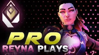 THE ULTIMATE REYNA MONTAGE - Best Outplays & 200 IQ Moments | VALORANT