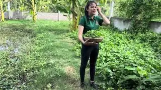 Cô Phương Hằng và Thầy Minh Tuệ đang rất hot còn Lý Phụng cũng muốn hot để e nó bán đất được nhiều❤️