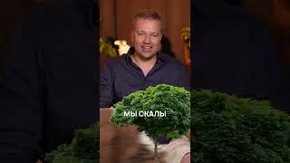 Этот музей построили настоящие коренные ИНДЕЙЦЫ! 
