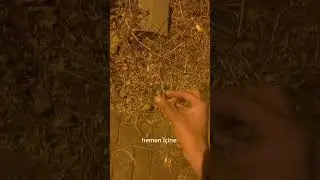 Yağmurdan sonra yola bakın lütfen