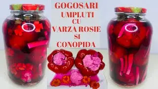 Gogosari umpluti cu varza rosie si conopida