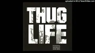 Thug Life - Shit Don't Stop Acapella ft. Y.N.V.