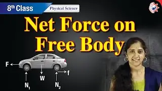Net force on free body | Free body diagram | Net force | Physical Science class 8 | by Scientia