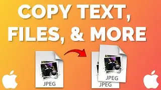 How to Copy and Paste on Mac