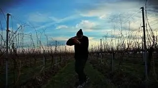 Xavier Tre - The Dub [Official Music Video]
