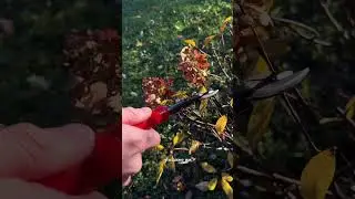 мне было жаль, но будет лучше!