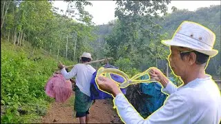 Begini Cara pak TUA Mikat ayam hutan hijau