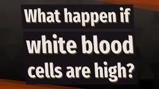 What happen if white blood cells are high?