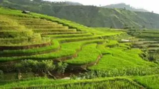 Lagu Sumbawa Indonesia Pop Dangdut-Mata' Rame By Abdul Kadir Mustaram