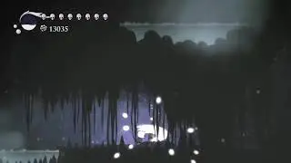 Hollow Knight #8