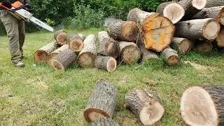 Stihl ms 390 a cserfában.🇩🇪💪