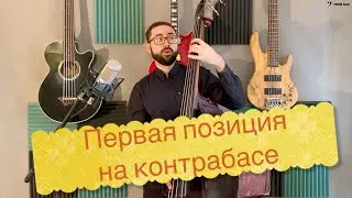 First position and elbow position when playing the double bass