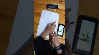 VALOR LUZ Y SOMBRA