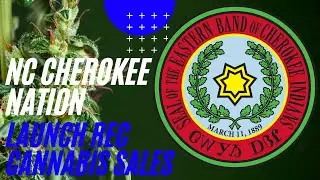 Cherokee Tribe's Marijuana Jackpot Attracts Huge Crowds!