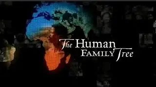The Human Family Tree - Full Documentary