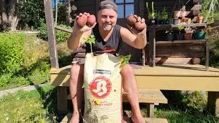 Homemade POTATO GROW BAG - Reveal - How Many did we get?