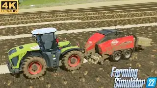 TODAY HARVESTING INCOME 37,187$ // FARMING SIMULATOR 22