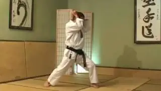 kata Nijuhachiho karate shotokan
