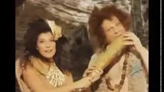 Реклама Воронины - Куда ни клюнь - везде воронины