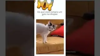 au #memes #shortvideo