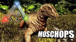 Taming A Moschops | Ark Survival Evolved | The Island