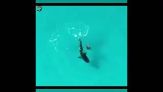 ЗАПАХ КРОВИ - ТЕПЕРЬ она НЕ ОТСТУПИТ