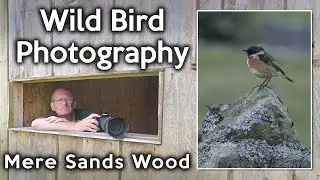 Photographing birds at Mere Sands Wood with my Nikon Z8