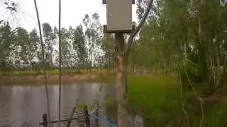 solar pump