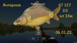 рр4! Янтарное Карпы Усач)) 315 монет за час.