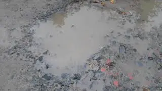Барсик пропал!!!