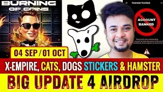 X Empire Airdrop & Burn | CAT Coin Listing | DOGS Stickers NFT Guide | Hamster Kombat Ban Explained