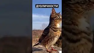 Если в вас живут две личности #shorts #психологияотношений #созависимыеотношения #расстройство