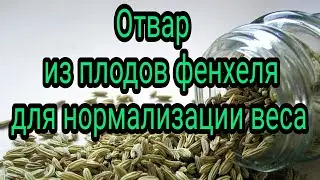 Отвар из плодов фенхеля для похудения и нормализации веса. Как похудеть без таблеток? Народный метод