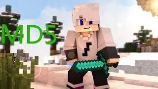 VENCENDO TODAS EM SEGUIDAS ?!! - SKYWARS MD5  (SkyMinigames)