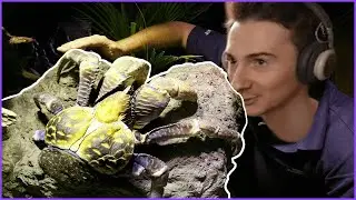 Olya watches: 