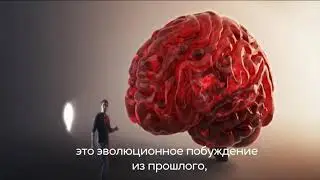 Отрывок фильма 