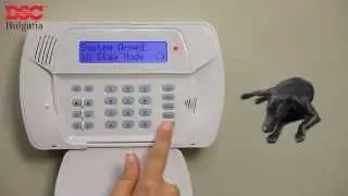 DSC Impassa Автономна Двупосочна Безжична Алармена Система (SCW9055)