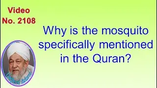 Why is the mosquito specifically mentioned in the Quran? 2108