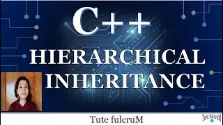 Topic 23 : Hierarchical Inheritance in cpp|Inheritance in cpp|cpp tutorials|cpp|cpp programming