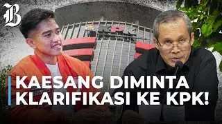 KPK Usut Laporan Gratifikasi Kaesang