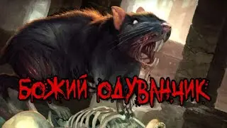 СТРАШНЫЕ ИСТОРИИ - БОЖИЙ ОДУВАНЧИК - Страшилки на ночь, мистика